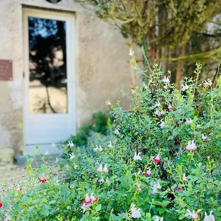 Cosy Avec Jardin Et A - Fr-1-489-520 Lägenhet Montaigu-le-Blin